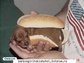 Diverse - ms:*:*:*:*:*:*k ziketzi d asta? - Barbie girls love emo styile and TOKIO HOTEL4ever and ever